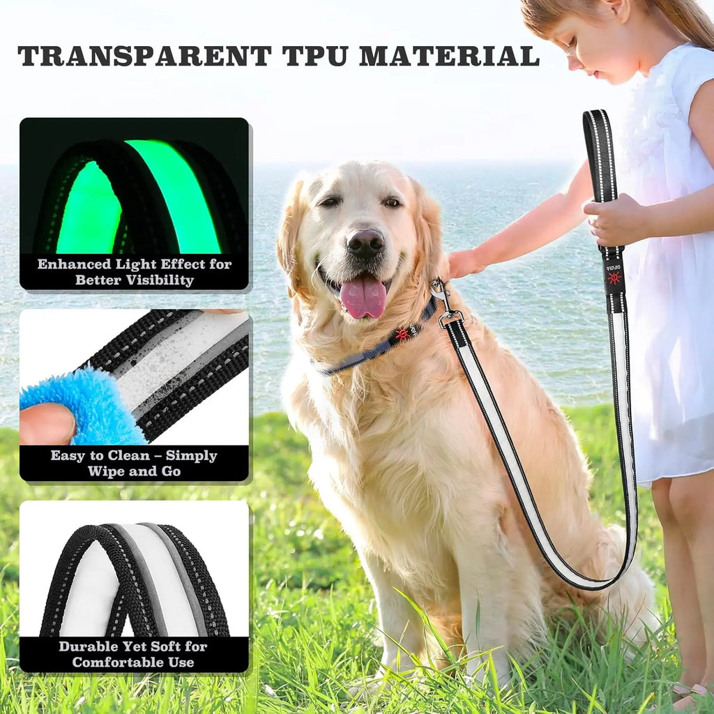 Pet LED Light-Up Leash 1.83M Rechargeable Dog Walking Lead, Nylon Material, Suitable for Dogs & Cats, Ca Prop 65 Compliant