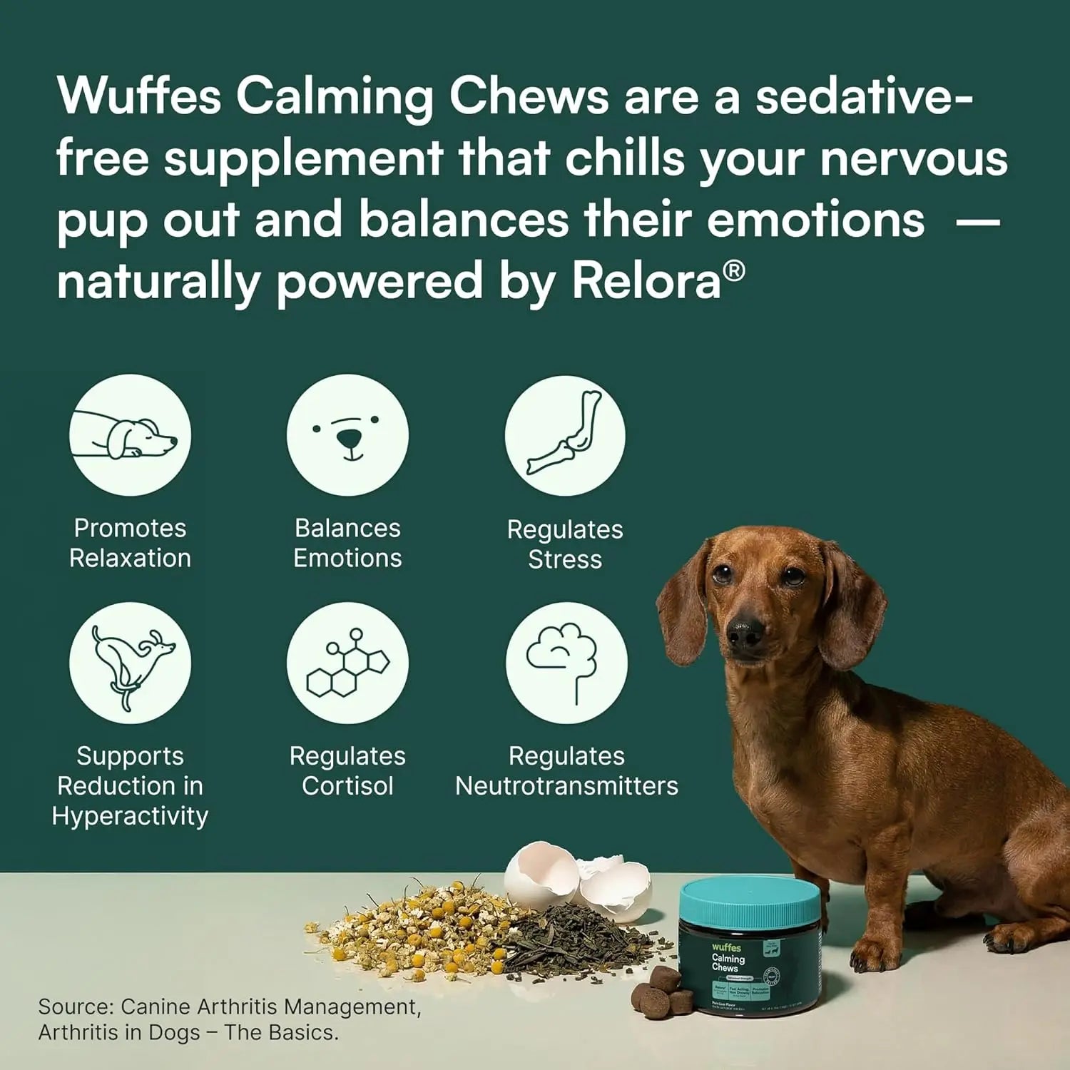 Wuffes Calming Chews for Dogs - Stress Support Supplement - Non-Drowsy Calming Relief for All Dogs - Made in USA - 60 Soft Chews