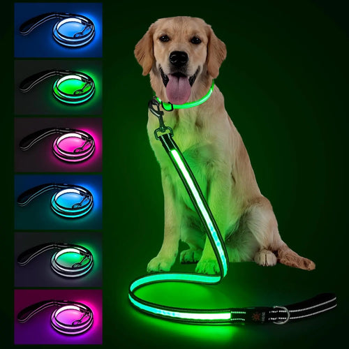 Pet LED Light-Up Leash 1.83M Rechargeable Dog Walking Lead, Nylon Material, Suitable for Dogs & Cats, Ca Prop 65 Compliant